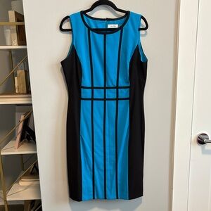 Calvin Klein Black and Blue Dress